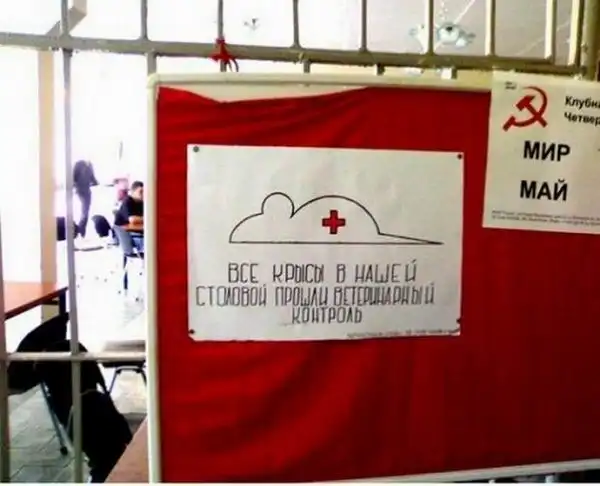 Сперва пишут, потом думают...