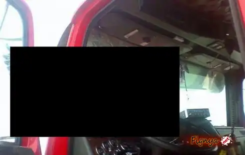 Столкновение с орлом