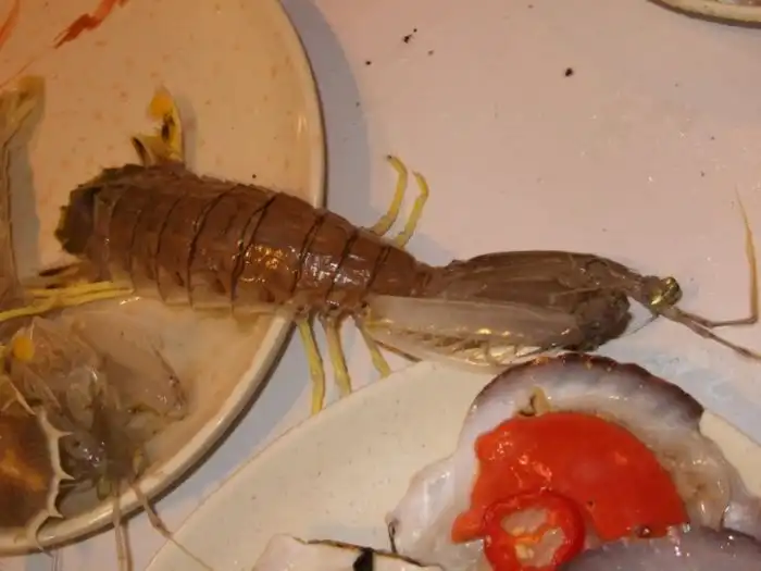 Картинки, которые отбивают аппетит. Часть 2