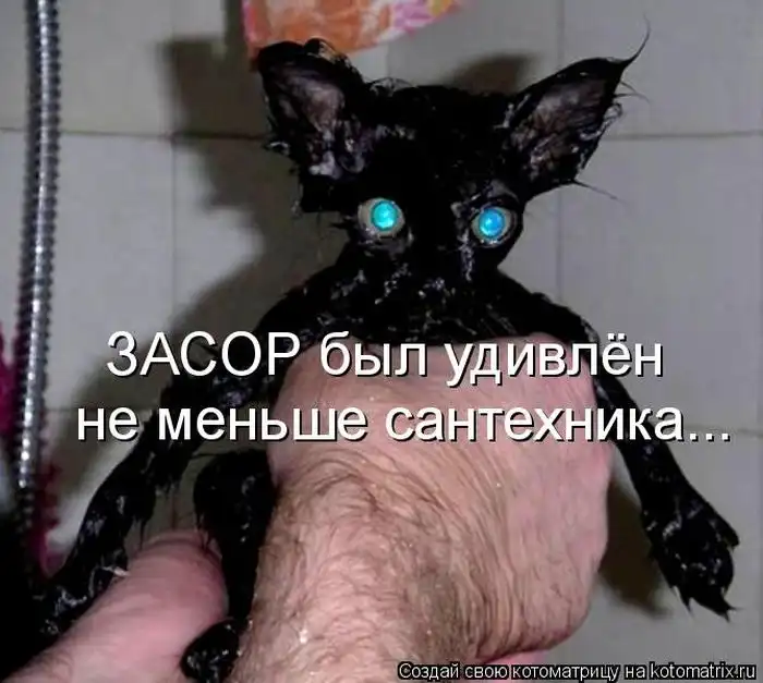 Лучшие котоматрицы недели