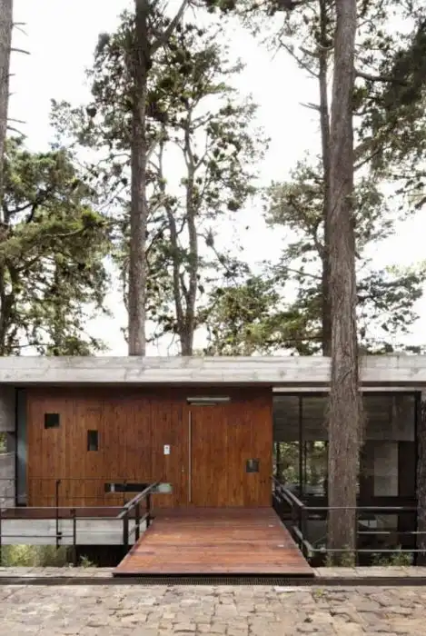 Дом с деревом внутри