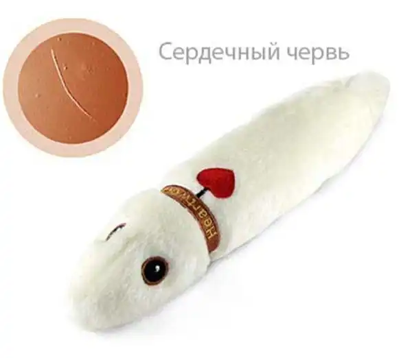 Игрушечные микробы и микроорганизмы