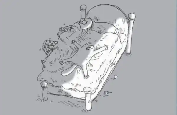 Огромнейшая подборка картинок часть 2.