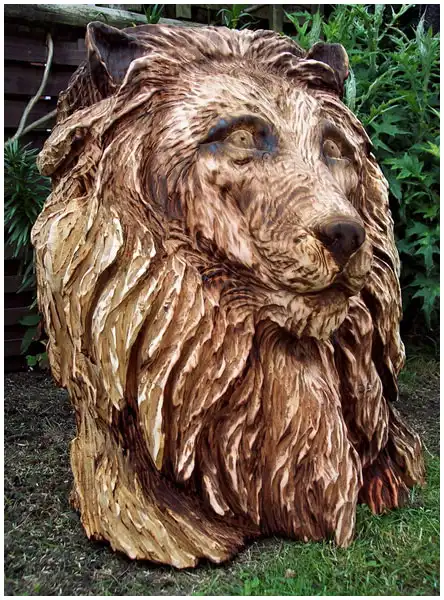 Вторая жизнь срубленных деревьев (13 фото)