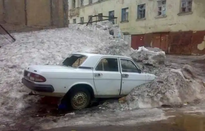 Подснежники в Норильске