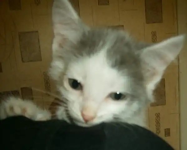 Девочка с грустными глазками, 2,5 месяца