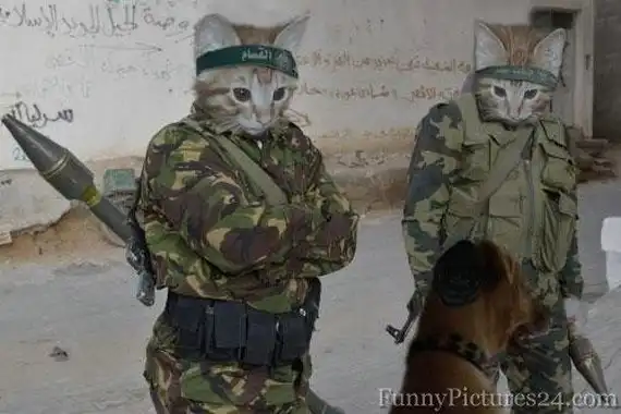 Опасные животные