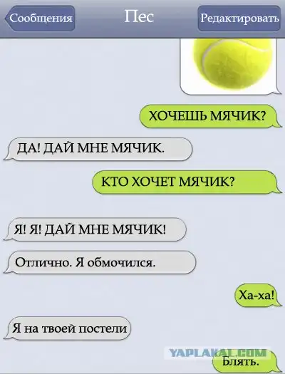 Если бы ваш пёс мог писать вам СМС