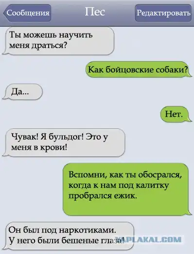 Если бы ваш пёс мог писать вам СМС