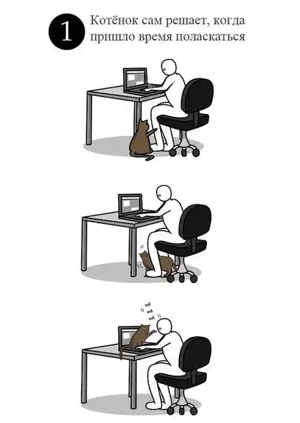 Как гладить котенка