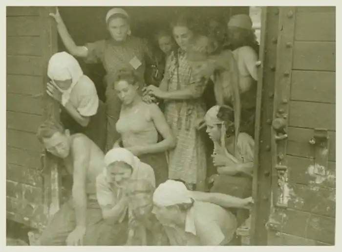 Оккупация, фотографии немецкой стороны