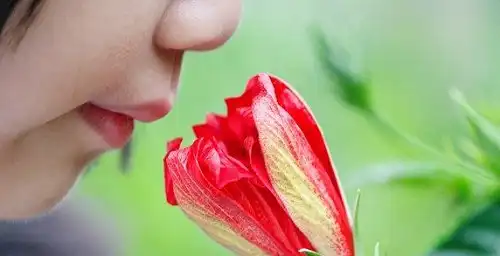 О запахах и людях.