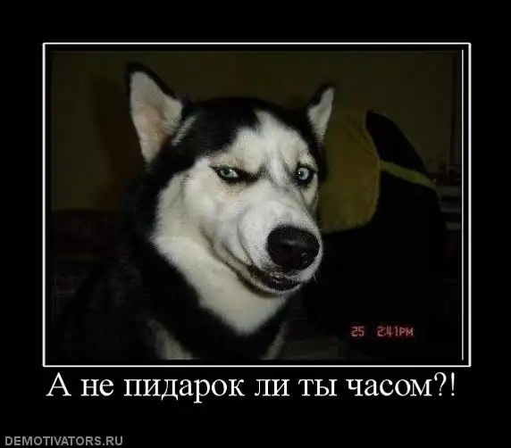 Загадка дня: Найди натурала.