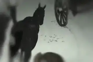 "Сельский доктор"