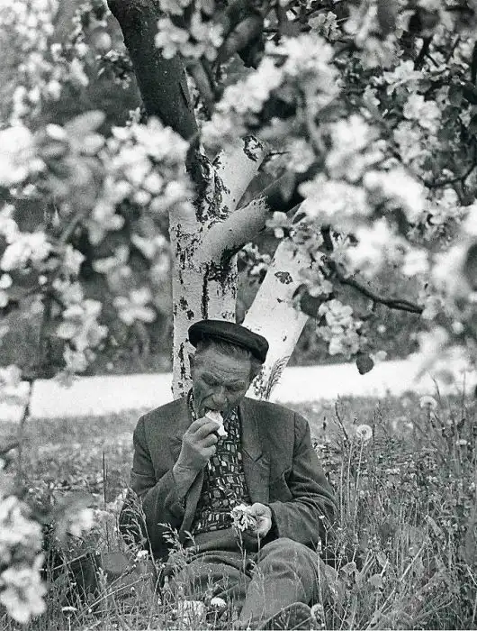 Реальность в СССР