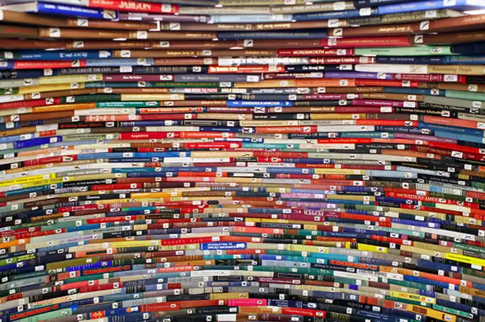 Иглу из книг (4 фото)