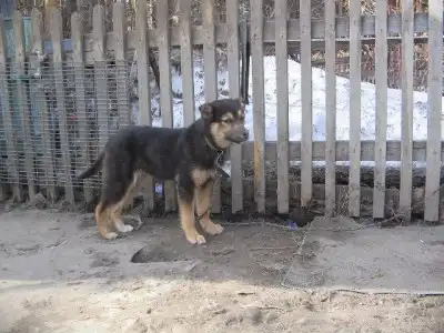 Маленькая Чита