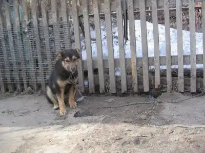 Маленькая Чита