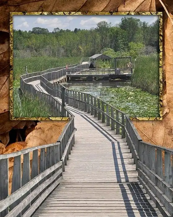 Фотографии, которые выходят за рамки