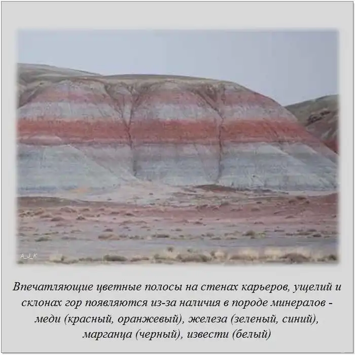 Факты обо всем на свете