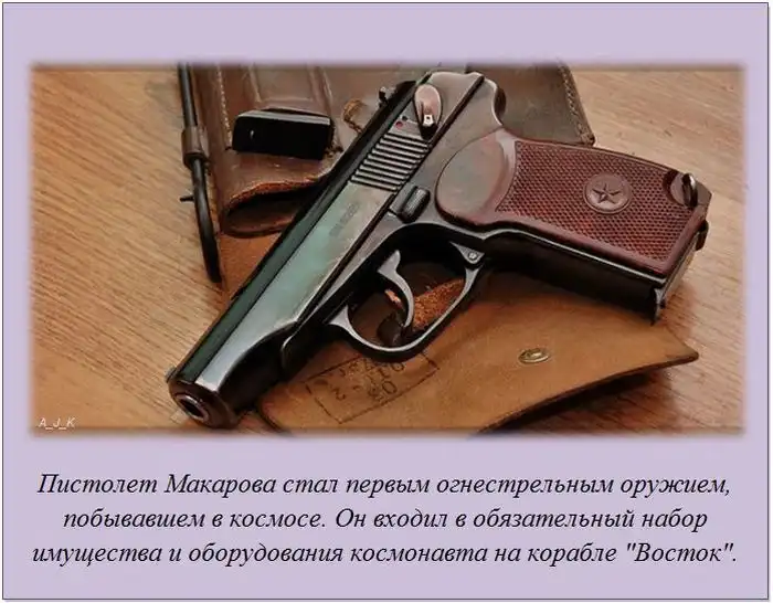 Факты обо всем на свете