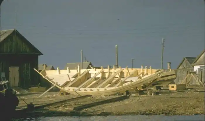 Добыча черной икры во второй половине XX века