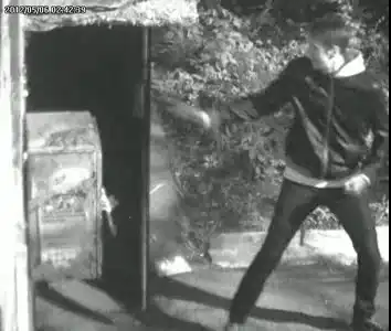 Парень провел девушку до дома