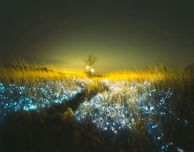 Инсталляции "Звездные ночи" (7 фото)