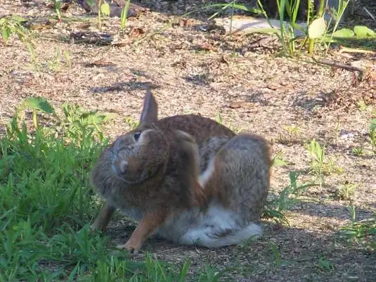 13 полезных советов для вашего тела