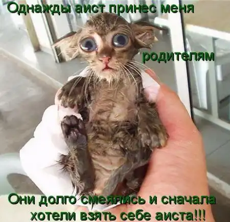 Картинки от блондинки ^_^