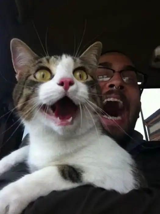 Прикольные картинки абавсём:D (18.05.12)