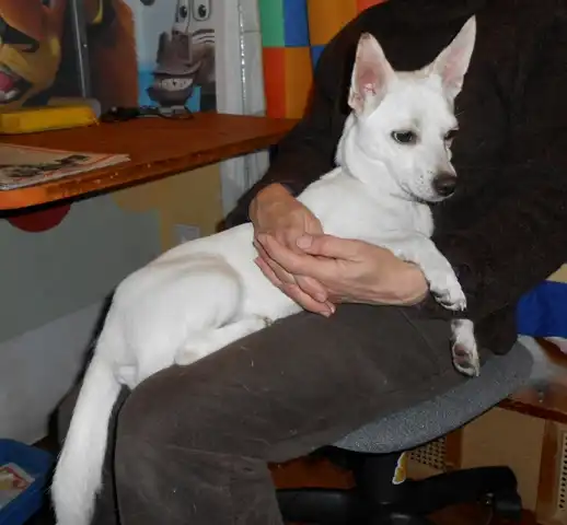 Умная и контактная Белочка!