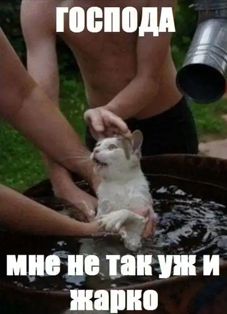 Смешные карикатуры