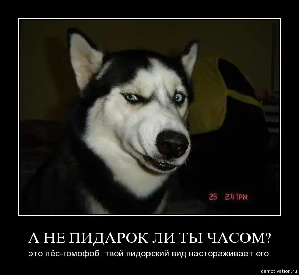 Хитрый взгляд.