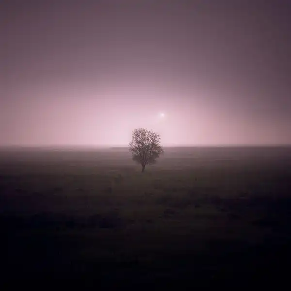 красивые фото нашей планеты :) (ненмого)