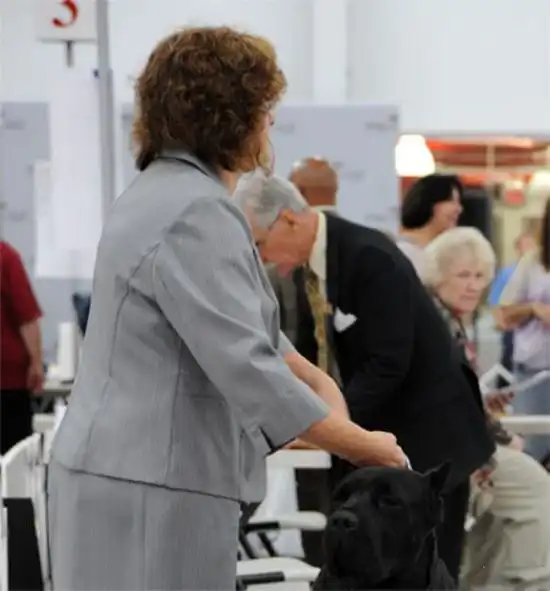 Пошлая перспектива