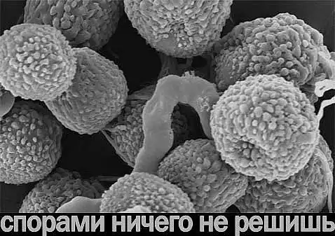 Комиксы&разное