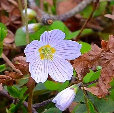 Поединок красоты и уродства