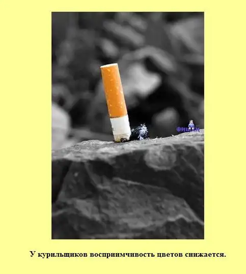 Интересные факты в фото