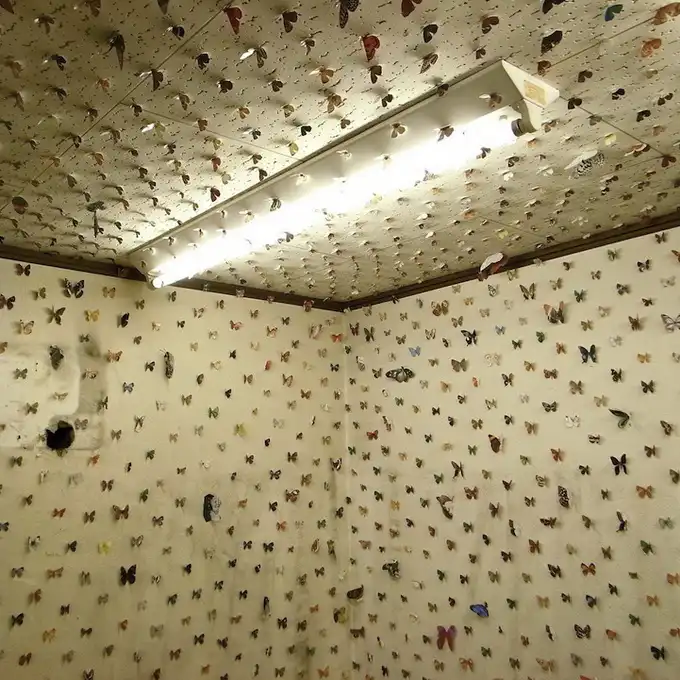 Инсталляция "Мнение бабочки"