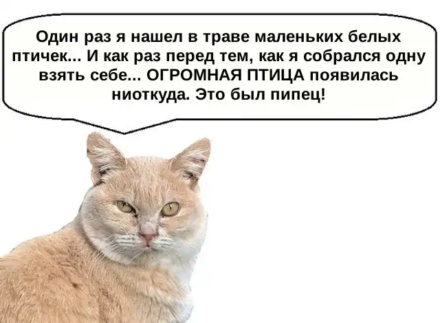 Фотокомиксы