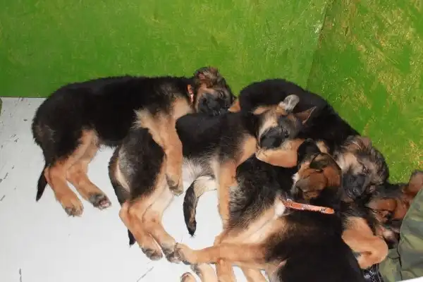 Разнообразная подборка =)