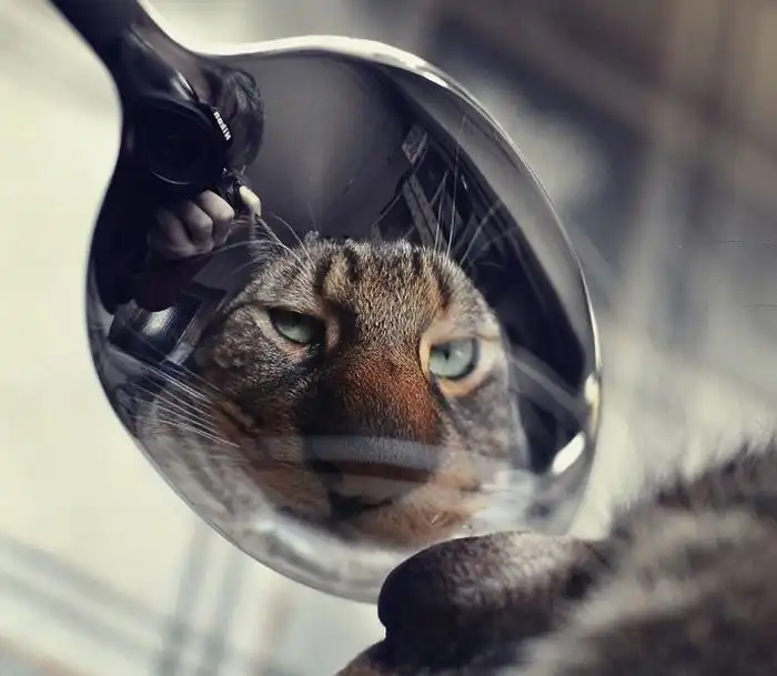 Прикольные картинки абавсём (22.06.12)