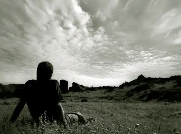 44 истории, которые заставят задуматься