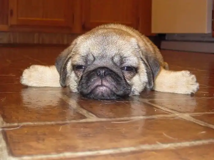 Прикольные картинки абавсём (28.06.12)