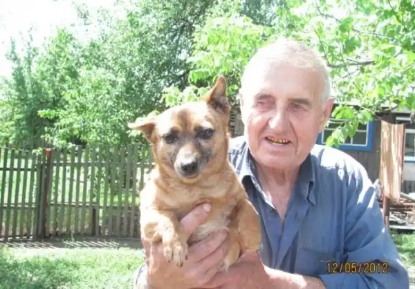 пенсионер и собачий приют