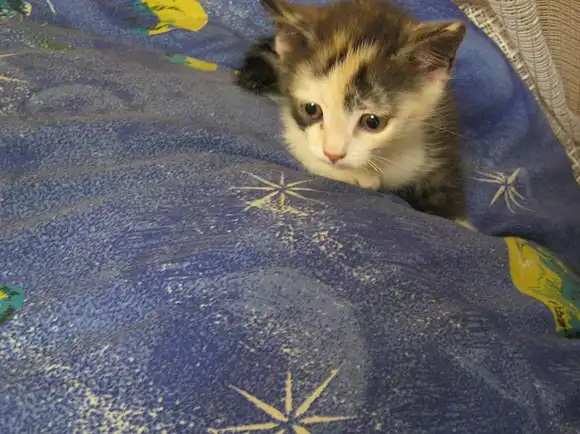 Очаровательная девочка!