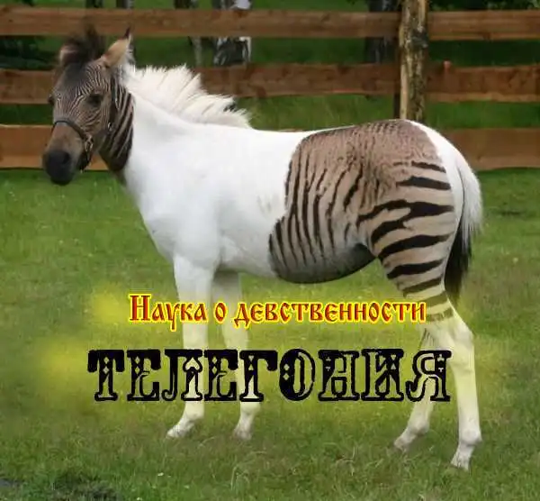 Что такое телегония