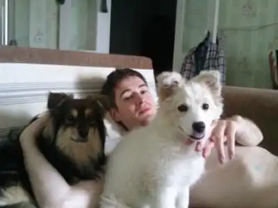 Белая собачка-облачко в добрые руки!!!