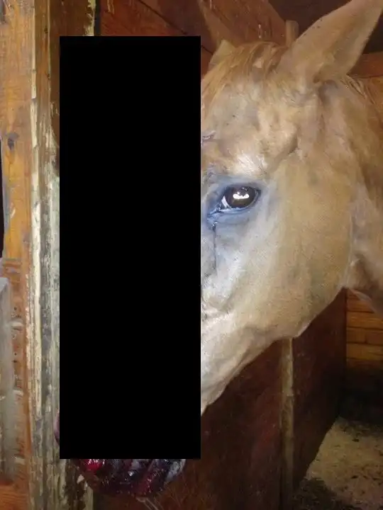 Лошадка - единорог